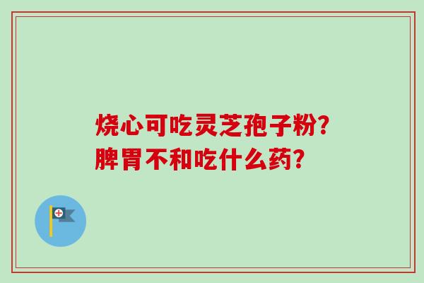 烧心可吃灵芝孢子粉？脾胃不和吃什么药？-第1张图片-卓越灵芝孢子粉
