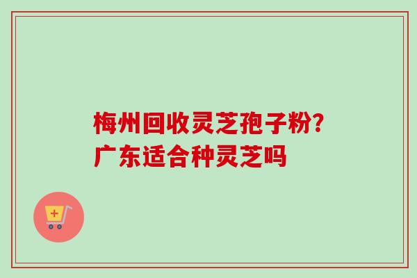 梅州回收灵芝孢子粉?广东适合种灵芝吗-第1张图片-卓越灵芝孢子粉 梅州回收灵芝孢子粉?广东适合种灵芝吗-第1张图片-卓越灵芝孢子粉