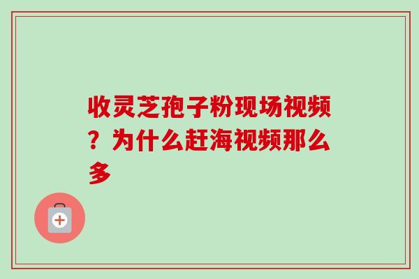 收灵芝孢子粉现场视频?为什么赶海视频那么多-第1张图片-卓越灵芝孢子粉 收灵芝孢子粉现场视频?为什么赶海视频那么多-第1张图片-卓越灵芝孢子粉