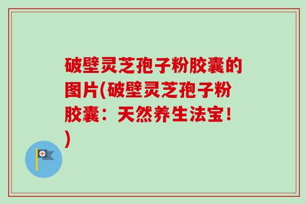 破壁灵芝孢子粉胶囊的图片(破壁灵芝孢子粉胶囊：天然养生法宝！)-第1张图片-卓越灵芝孢子粉