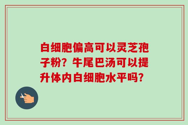 白细胞偏高可以灵芝孢子粉?牛尾巴汤可以提升体内白细胞水平吗?-第1张图片-卓越灵芝孢子粉 白细胞偏高可以灵芝孢子粉?牛尾巴汤可以提升体内白细胞水平吗?-第1张图片-卓越灵芝孢子粉