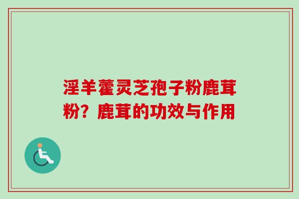 淫羊藿灵芝孢子粉鹿茸粉？鹿茸的功效与作用-第1张图片-卓越灵芝孢子粉