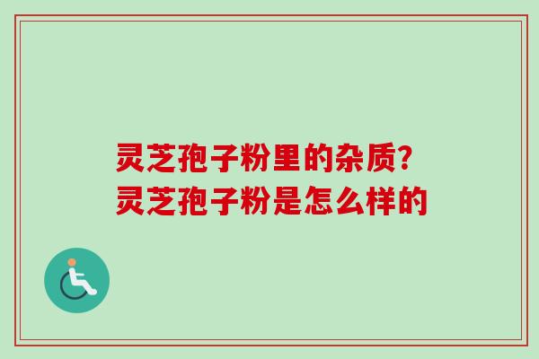灵芝孢子粉里的杂质?灵芝孢子粉是怎么样的-第1张图片-卓越灵芝孢子粉 灵芝孢子粉里的杂质?灵芝孢子粉是怎么样的-第1张图片-卓越灵芝孢子粉