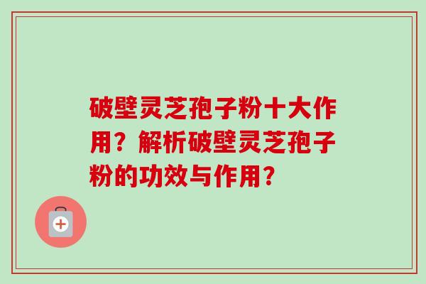破壁灵芝孢子粉十大作用?解析破壁灵芝孢子粉的功效与作用?-第1张图片-卓越灵芝孢子粉 破壁灵芝孢子粉十大作用?解析破壁灵芝孢子粉的功效与作用?-第1张图片-卓越灵芝孢子粉
