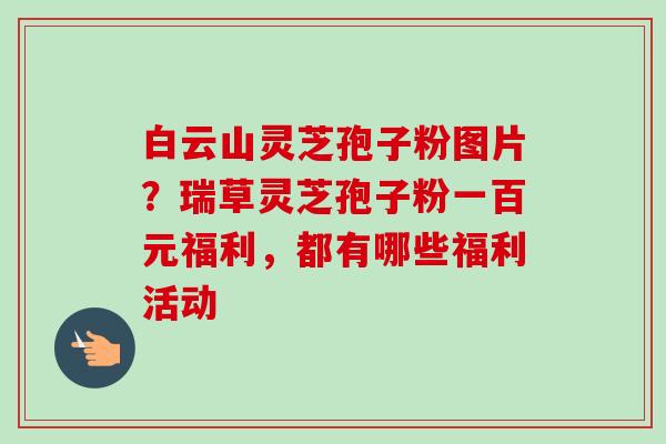 白云山灵芝孢子粉图片?瑞草灵芝孢子粉一百元福利,都有哪些福利活动-第1张图片-卓越灵芝孢子粉 白云山灵芝孢子粉图片?瑞草灵芝孢子粉一百元福利,都有哪些福利活动-第1张图片-卓越灵芝孢子粉