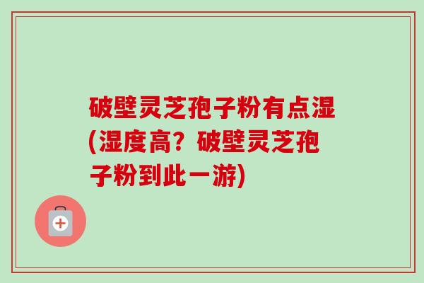 破壁灵芝孢子粉有点湿(湿度高？破壁灵芝孢子粉到此一游)-第1张图片-卓越灵芝孢子粉