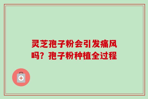 灵芝孢子粉会引发痛风吗?孢子粉种植全过程-第1张图片-卓越灵芝孢子粉 灵芝孢子粉会引发痛风吗?孢子粉种植全过程-第1张图片-卓越灵芝孢子粉