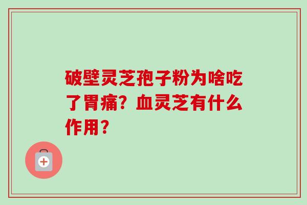 破壁灵芝孢子粉为啥吃了胃痛？血灵芝有什么作用？-第1张图片-卓越灵芝孢子粉