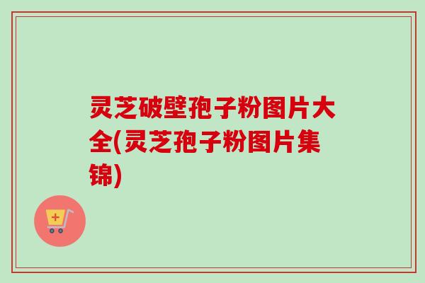 灵芝破壁孢子粉图片大全(灵芝孢子粉图片集锦)-第1张图片-卓越灵芝孢子粉 灵芝破壁孢子粉图片大全(灵芝孢子粉图片集锦)-第1张图片-卓越灵芝孢子粉
