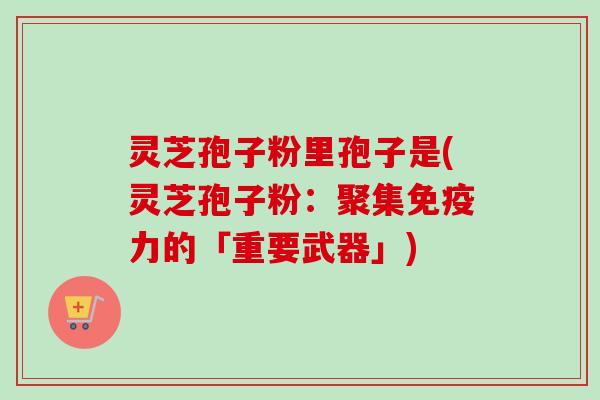 灵芝孢子粉里孢子是(灵芝孢子粉:聚集免疫力的「重要武器」)-第1张图片-卓越灵芝孢子粉 灵芝孢子粉里孢子是(灵芝孢子粉:聚集免疫力的「重要武器」)-第1张图片-卓越灵芝孢子粉