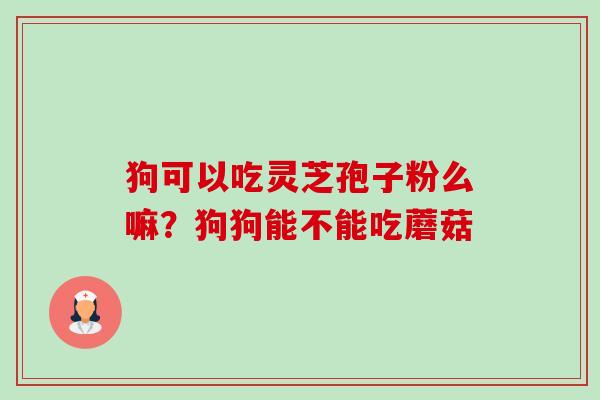 狗可以吃灵芝孢子粉么嘛?狗狗能不能吃蘑菇-第1张图片-卓越灵芝孢子粉 狗可以吃灵芝孢子粉么嘛?狗狗能不能吃蘑菇-第1张图片-卓越灵芝孢子粉