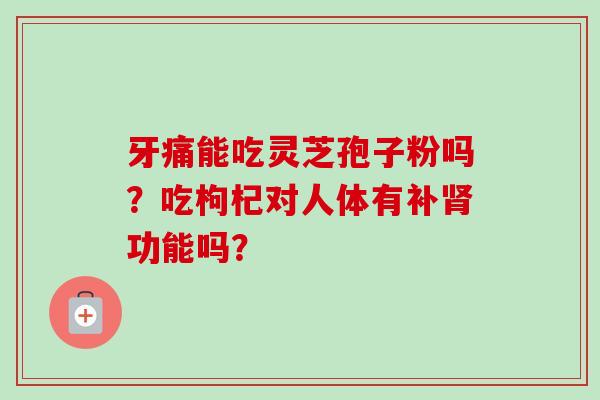 牙痛能吃灵芝孢子粉吗?吃枸杞对人体有补肾功能吗?-第1张图片-卓越灵芝孢子粉 牙痛能吃灵芝孢子粉吗?吃枸杞对人体有补肾功能吗?-第1张图片-卓越灵芝孢子粉