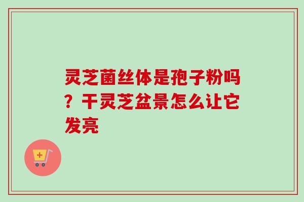 灵芝菌丝体是孢子粉吗?干灵芝盆景怎么让它发亮-第1张图片-卓越灵芝孢子粉 灵芝菌丝体是孢子粉吗?干灵芝盆景怎么让它发亮-第1张图片-卓越灵芝孢子粉