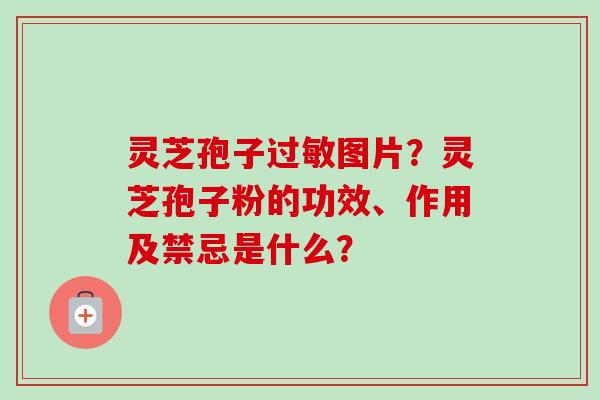 灵芝孢子过敏图片？灵芝孢子粉的功效、作用及禁忌是什么？-第1张图片-卓越灵芝孢子粉