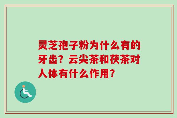 灵芝孢子粉为什么有的牙齿？云尖茶和茯茶对人体有什么作用？-第1张图片-卓越灵芝孢子粉