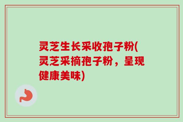 灵芝生长采收孢子粉(灵芝采摘孢子粉,呈现健康美味)-第1张图片-卓越灵芝孢子粉 灵芝生长采收孢子粉(灵芝采摘孢子粉,呈现健康美味)-第1张图片-卓越灵芝孢子粉