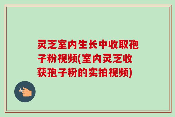 灵芝室内生长中收取孢子粉视频(室内灵芝收获孢子粉的实拍视频)-第1张图片-卓越灵芝孢子粉 灵芝室内生长中收取孢子粉视频(室内灵芝收获孢子粉的实拍视频)-第1张图片-卓越灵芝孢子粉