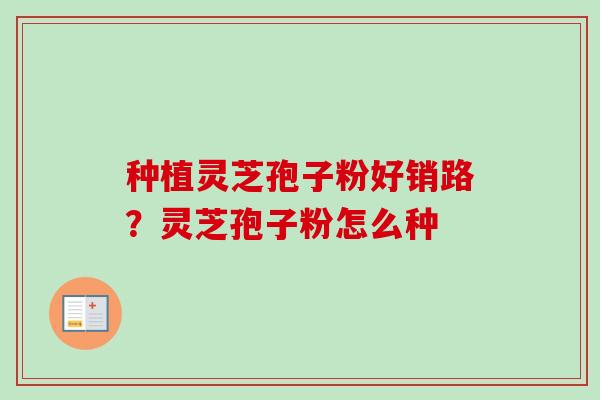 种植灵芝孢子粉好销路？灵芝孢子粉怎么种-第1张图片-卓越灵芝孢子粉