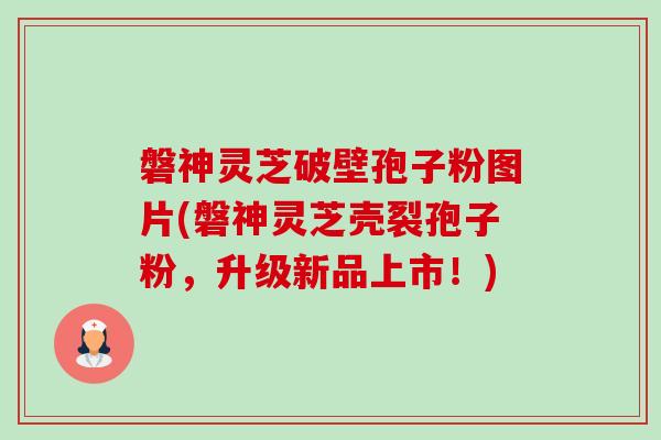 磐神灵芝破壁孢子粉图片(磐神灵芝壳裂孢子粉,升级新品上市!)-第1张图片-卓越灵芝孢子粉 磐神灵芝破壁孢子粉图片(磐神灵芝壳裂孢子粉,升级新品上市!)-第1张图片-卓越灵芝孢子粉