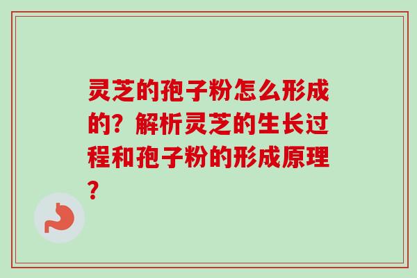 灵芝的孢子粉怎么形成的?解析灵芝的生长过程和孢子粉的形成原理?-第1张图片-卓越灵芝孢子粉 灵芝的孢子粉怎么形成的?解析灵芝的生长过程和孢子粉的形成原理?-第1张图片-卓越灵芝孢子粉