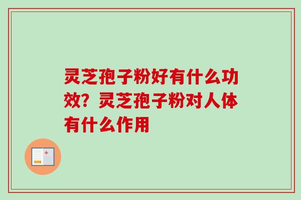 灵芝孢子粉好有什么功效？灵芝孢子粉对人体有什么作用-第1张图片-卓越灵芝孢子粉