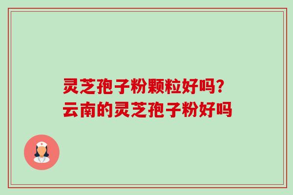 灵芝孢子粉颗粒好吗？云南的灵芝孢子粉好吗-第1张图片-卓越灵芝孢子粉