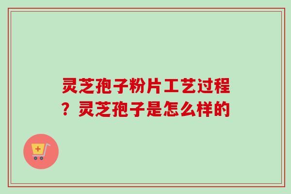 灵芝孢子粉片工艺过程？灵芝孢子是怎么样的-第1张图片-卓越灵芝孢子粉