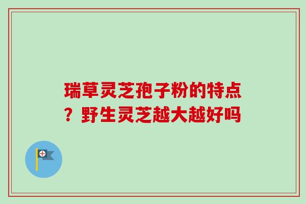瑞草灵芝孢子粉的特点？野生灵芝越大越好吗-第1张图片-卓越灵芝孢子粉