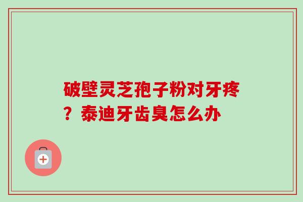 破壁灵芝孢子粉对牙疼?泰迪牙齿臭怎么办-第1张图片-卓越灵芝孢子粉 破壁灵芝孢子粉对牙疼?泰迪牙齿臭怎么办-第1张图片-卓越灵芝孢子粉