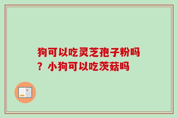 狗可以吃灵芝孢子粉吗？小狗可以吃茨菇吗-第1张图片-卓越灵芝孢子粉