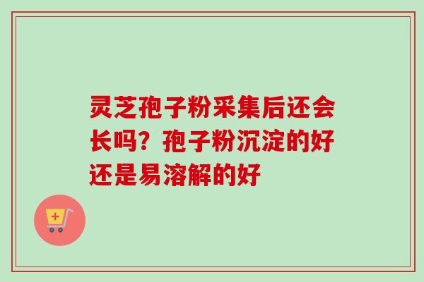 灵芝孢子粉采集后还会长吗?孢子粉沉淀的好还是易溶解的好-第1张图片-卓越灵芝孢子粉 灵芝孢子粉采集后还会长吗?孢子粉沉淀的好还是易溶解的好-第1张图片-卓越灵芝孢子粉