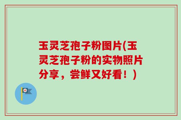 玉灵芝孢子粉图片(玉灵芝孢子粉的实物照片分享,尝鲜又好看!)-第1张图片-卓越灵芝孢子粉 玉灵芝孢子粉图片(玉灵芝孢子粉的实物照片分享,尝鲜又好看!)-第1张图片-卓越灵芝孢子粉