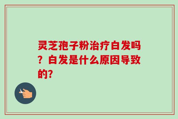 灵芝孢子粉治疗白发吗?白发是什么原因导致的?-第1张图片-卓越灵芝孢子粉 灵芝孢子粉治疗白发吗?白发是什么原因导致的?-第1张图片-卓越灵芝孢子粉