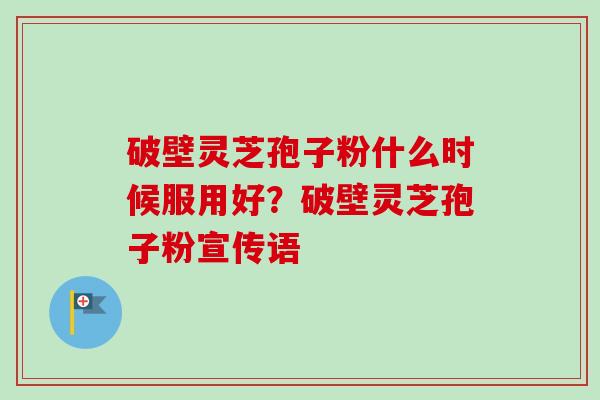 破壁灵芝孢子粉什么时候服用好？破壁灵芝孢子粉宣传语-第1张图片-卓越灵芝孢子粉