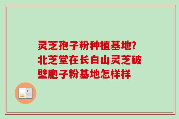 灵芝孢子粉种植基地？北芝堂在长白山灵芝破壁胞子粉基地怎样样-第1张图片-卓越灵芝孢子粉