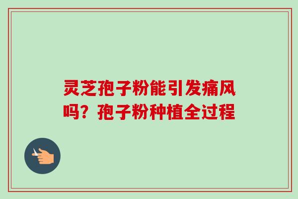 灵芝孢子粉能引发痛风吗？孢子粉种植全过程-第1张图片-卓越灵芝孢子粉