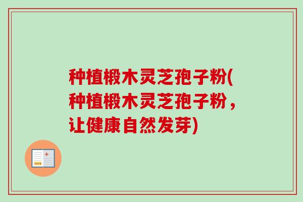 种植椴木灵芝孢子粉(种植椴木灵芝孢子粉，让健康自然发芽)-第1张图片-卓越灵芝孢子粉