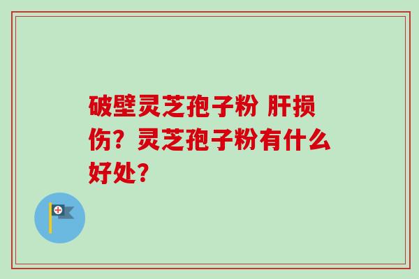 破壁灵芝孢子粉 肝损伤?灵芝孢子粉有什么好处?-第1张图片-卓越灵芝孢子粉 破壁灵芝孢子粉 肝损伤?灵芝孢子粉有什么好处?-第1张图片-卓越灵芝孢子粉