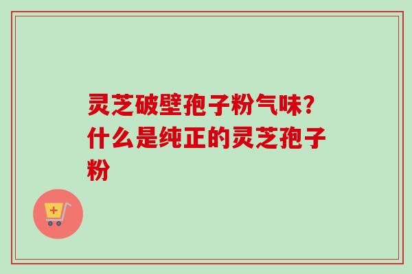 灵芝破壁孢子粉气味？什么是纯正的灵芝孢子粉-第1张图片-卓越灵芝孢子粉