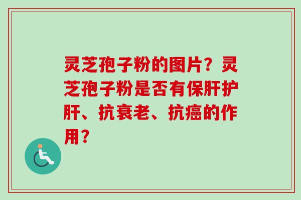 灵芝孢子粉的图片？灵芝孢子粉是否有保肝护肝、抗衰老、抗癌的作用？-第1张图片-卓越灵芝孢子粉