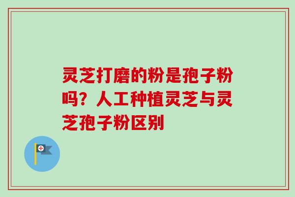 灵芝打磨的粉是孢子粉吗?人工种植灵芝与灵芝孢子粉区别-第1张图片-卓越灵芝孢子粉 灵芝打磨的粉是孢子粉吗?人工种植灵芝与灵芝孢子粉区别-第1张图片-卓越灵芝孢子粉