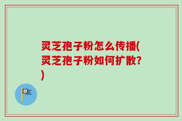 灵芝孢子粉怎么传播(灵芝孢子粉如何扩散?)-第1张图片-卓越灵芝孢子粉 灵芝孢子粉怎么传播(灵芝孢子粉如何扩散?)-第1张图片-卓越灵芝孢子粉