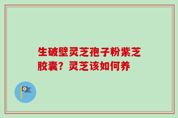 生破壁灵芝孢子粉紫芝胶囊?灵芝该如何养-第1张图片-卓越灵芝孢子粉 生破壁灵芝孢子粉紫芝胶囊?灵芝该如何养-第1张图片-卓越灵芝孢子粉