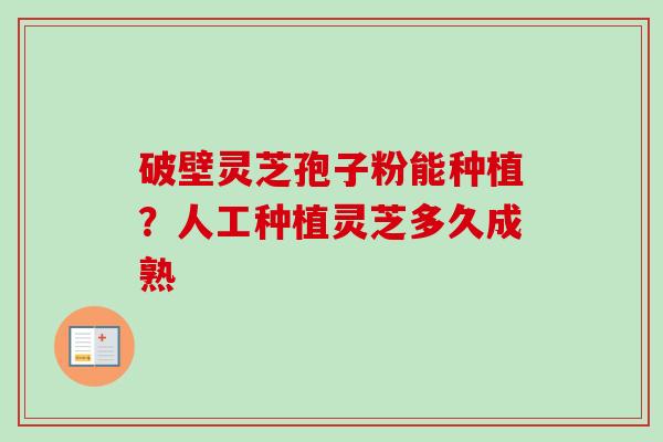 破壁灵芝孢子粉能种植?人工种植灵芝多久成熟-第1张图片-卓越灵芝孢子粉 破壁灵芝孢子粉能种植?人工种植灵芝多久成熟-第1张图片-卓越灵芝孢子粉