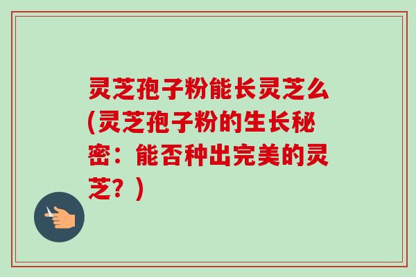 灵芝孢子粉能长灵芝么(灵芝孢子粉的生长秘密:能否种出完美的灵芝?)-第1张图片-卓越灵芝孢子粉 灵芝孢子粉能长灵芝么(灵芝孢子粉的生长秘密:能否种出完美的灵芝?)-第1张图片-卓越灵芝孢子粉