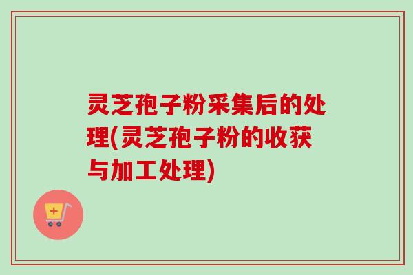 灵芝孢子粉采集后的处理(灵芝孢子粉的收获与加工处理)-第1张图片-卓越灵芝孢子粉