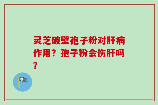 灵芝破壁孢子粉对肝病作用？孢子粉会伤肝吗？-第1张图片-卓越灵芝孢子粉