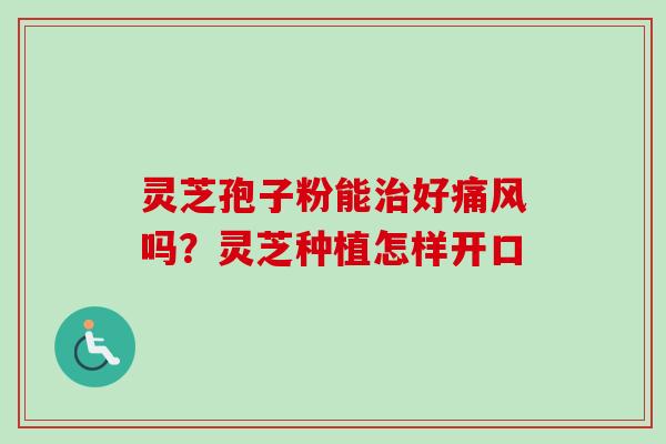 灵芝孢子粉能治好痛风吗?灵芝种植怎样开口-第1张图片-卓越灵芝孢子粉 灵芝孢子粉能治好痛风吗?灵芝种植怎样开口-第1张图片-卓越灵芝孢子粉