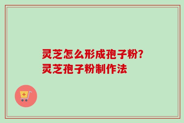 灵芝怎么形成孢子粉？灵芝孢子粉制作法-第1张图片-卓越灵芝孢子粉