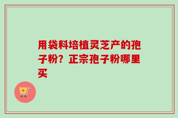 用袋料培植灵芝产的孢子粉?正宗孢子粉哪里买-第1张图片-卓越灵芝孢子粉 用袋料培植灵芝产的孢子粉?正宗孢子粉哪里买-第1张图片-卓越灵芝孢子粉